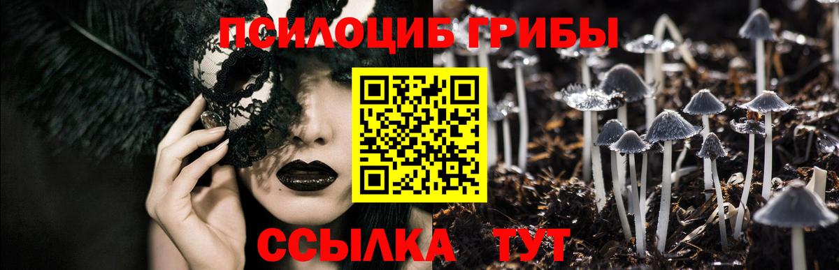 Псилоцибиновые грибы прущие грибы  Вход с VPN  Пенза 